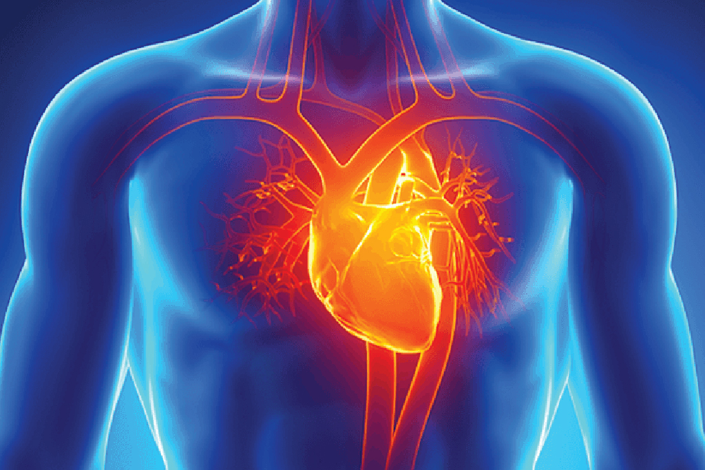 Non-Invasive Cardiology: Cost, Procedure, Benefits & When You Need It