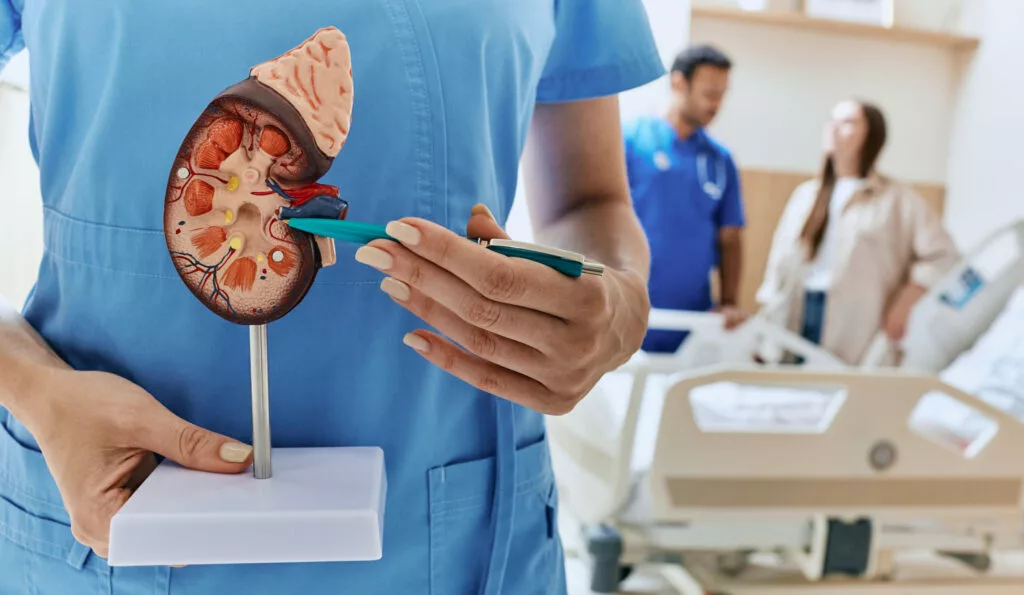 kidney diseases