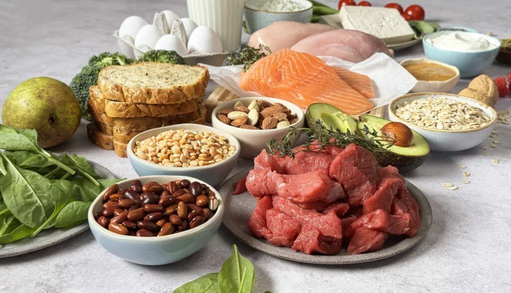 High protein diet plan